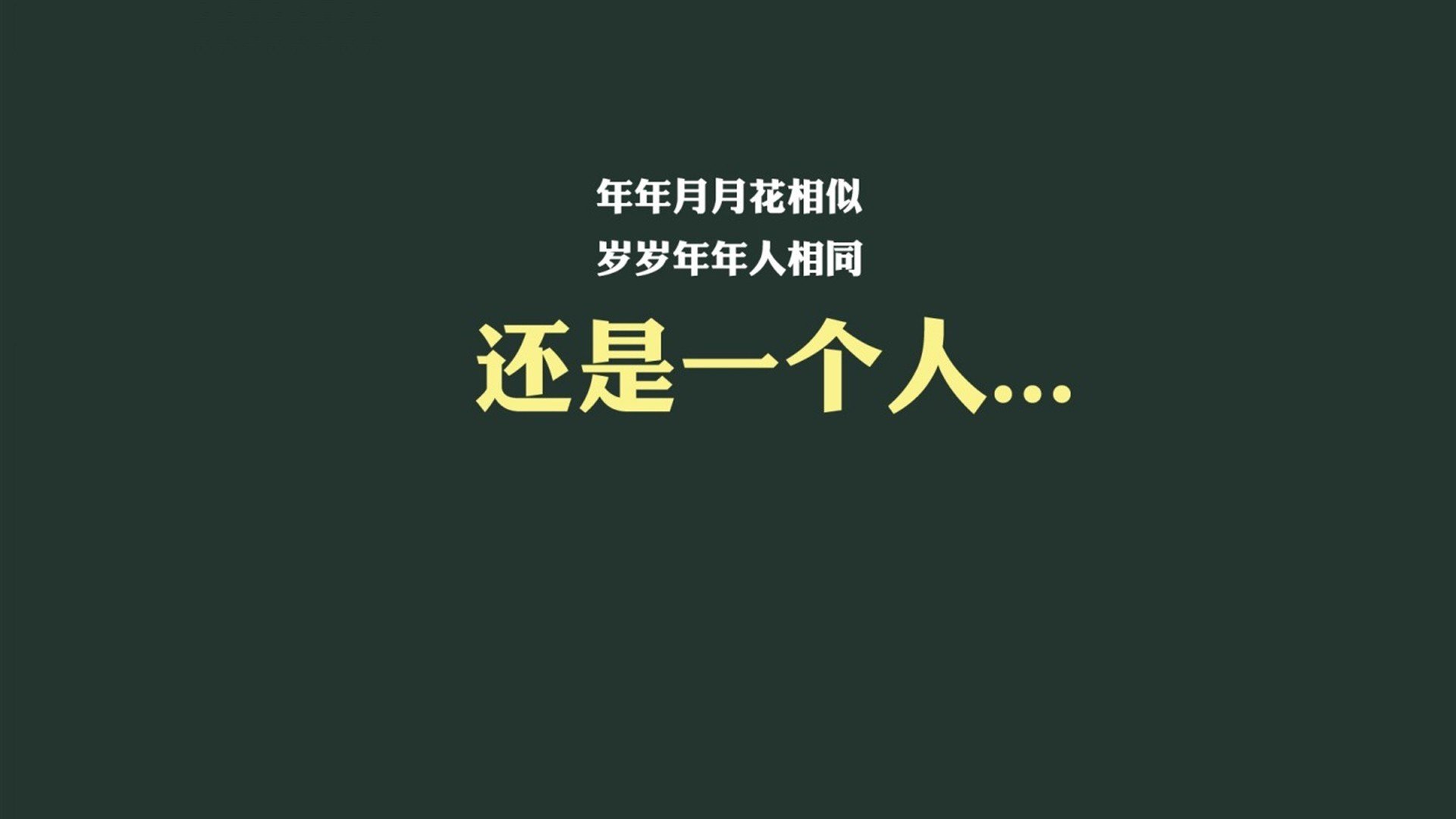美国马术协会授予斯蒂芬·彼得斯“年度最佳教练员”称号。